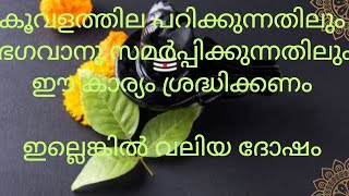 കൂവളത്തില പറിക്കുന്നതിലും ഭഗവാന് അഭിഷേകം ചെയ്യുന്നതിലും ഈ കാര്യം ശ്രദ്ധിക്കണം ഇല്ലെങ്കിൽ വലിയ ദോഷം