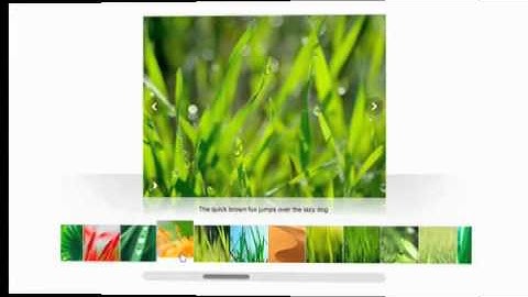 Image Gallery Options