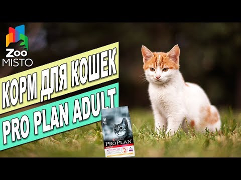 Корм для взрослых кошек Пурина Про План | Обзор корма для котов | Purina Pro Plan Adult Cat review