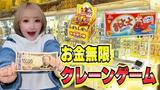 お金無限でクレーンゲームに挑戦したら神業連発…!?