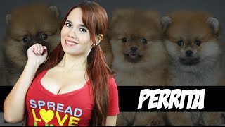 Perrita Y Nutella Vlog