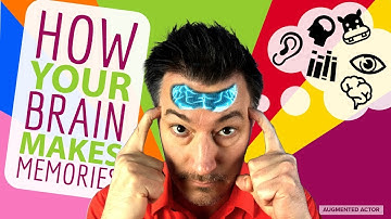 How The Brain Processes Memory - How to Memorize Anything!