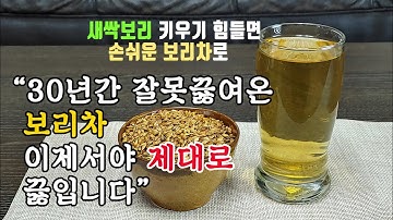 30년간 잘못끓여온 보리차, 이제는 제대로 끓여마시기/ 겉보리로 새싹보리 키우기 힘들면 손쉬운 보리차로/ 집에서 겉보리로 보리차 만들어 끓이는 방법/ 보리차 끓이는법