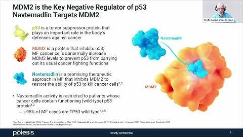 WEBINAR I Introduction to the Navtemadlin, new therapeutic approach for MF Patients