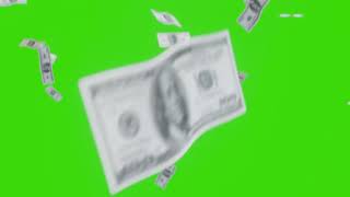 Free Cash Falling Green Screen 4K