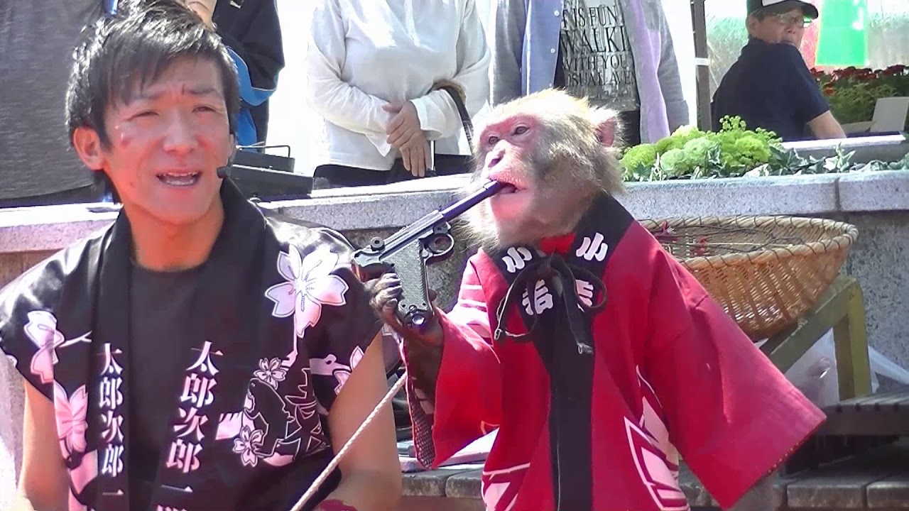 日光猿軍団 Jr.2 パフォーマンスショー