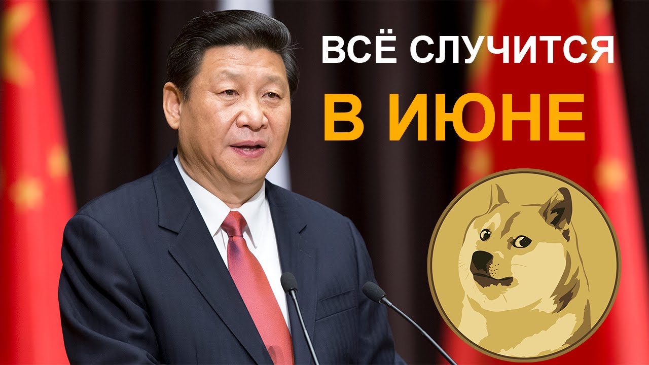 ДОГГИ КОИН СКОРО ЖДЁТ РОСТ И ВОТ ПОЧЕМУ - YouTube