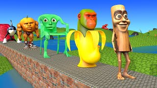Long Slide Game With Cow Elephant Gorilla Hippopotamus Tiger 3D Animal Game Funny 3D Animals