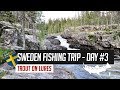 Trout fishing trip to Sweden day 3