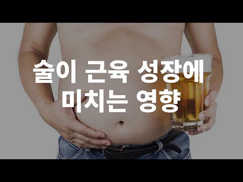 술을 마시면 운동의 효과가 사라질까?