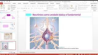 Sistema Nervoso Introdução Ao Sistema Nervoso Profa Dra Maiara Marques