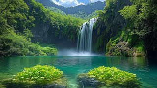 Quiet Harmony – Calm Piano Music for Life’s Slow Moments