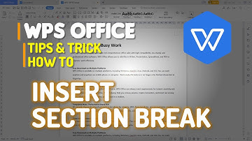 WPS Office Word How To Insert Section Break