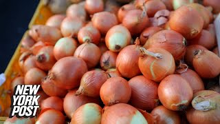 CDC issues warning on onion-linked salmonella outbreak in 37 states | New York Post