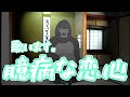 ゴリラオンステージ「恋の予感/安全地帯」