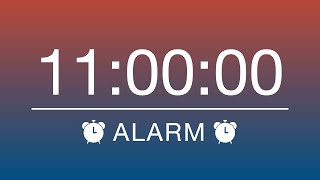 11 HOURS TIMER & ALARM - COUNTDOWN/ALARM CLOCK by The Chest 62 views 2 years ago 11 hours, 2 minutes