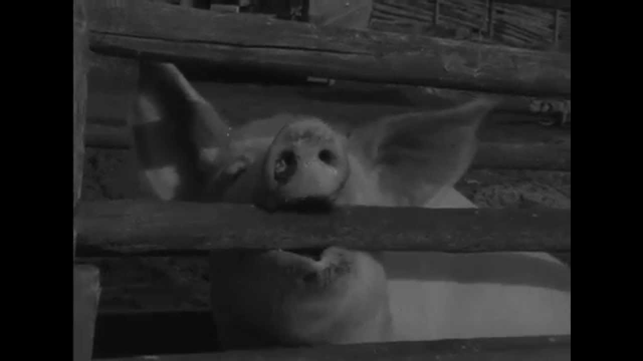 Emil i Lönneberga 50 år Från inspelningen av Emil i Lönneberga