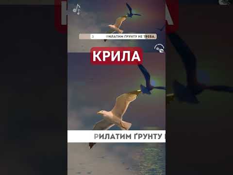 Пісня на вірш Ліни Костенко КРИЛА Ліна Костенко Крила Сучасні українські пісні 2024 