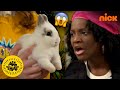 She Has A Fear Of Cute Bunnies! 🐰| All That