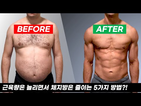 현대인을 위한 운동과 건강