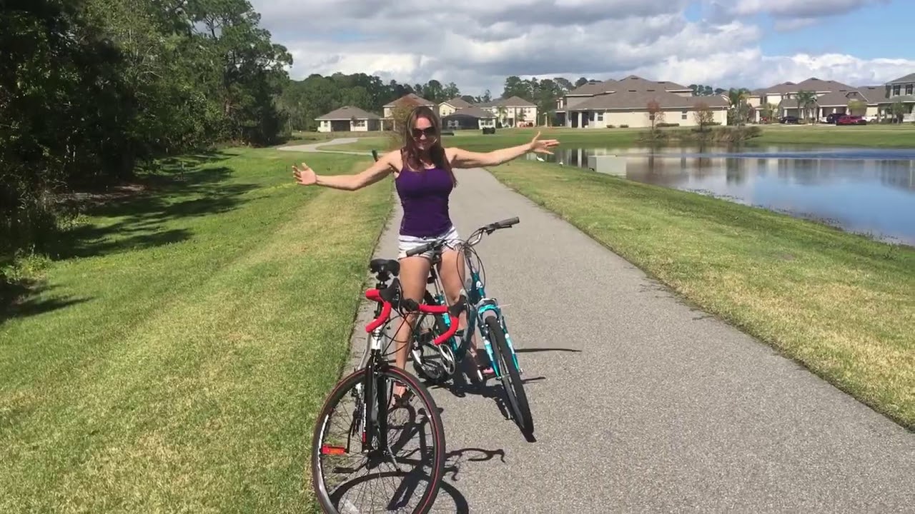 Winter Garden, Fl  Alligators  2017