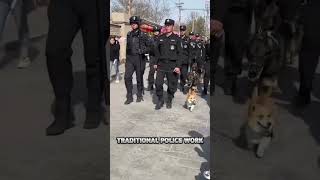 He wasn’t supposed to be a cop... but became a hero anyway. #shorts #corgi #dog #policedog