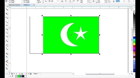 How to make Pakistan Flag in Corel Draw||easy way to learn graphic design
