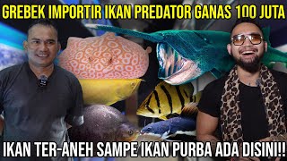 GREBEK IMPORTIR IKAN PREDATOR GANAS 100 JUTA!! IKAN TERANEH SAMPE IKAN PURBA ADA DISINI! AQUPREMIERE