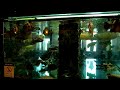 Monster fish tank in a restaurant (Video shot by Samsung WB5000) video 1/3