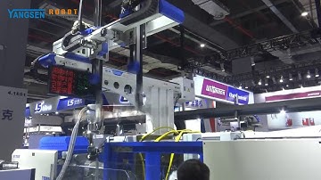 YANGSEN ROBOT FK1200G WD3 TAKE OUT ROBOT FOR CONTAINER