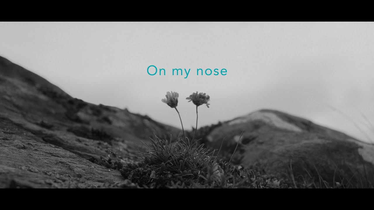 José González - Honey Honey (Lyric Video) - YouTube