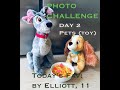 Day 2 Lockdown Photo Challenge - Pets