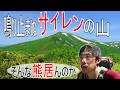 【目国内岳】鳴り止まぬサイレン!!️熊どんだけ居るのか...目国内岳新・花の百名山~パンケメクンナイ湿原縦走~登山しないサバイバリストの登山~