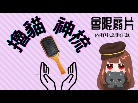 ||會限超級小廢片|| 神梳擼貓 (內有中之人的手不喜勿入)