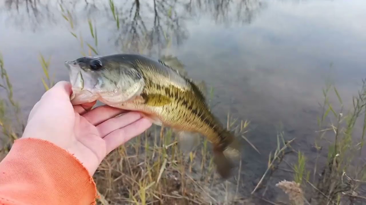 Fall Bass Fishing