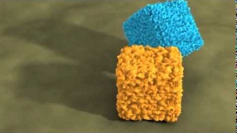 Blender 2.49 physics spiky blob experiment v1.2