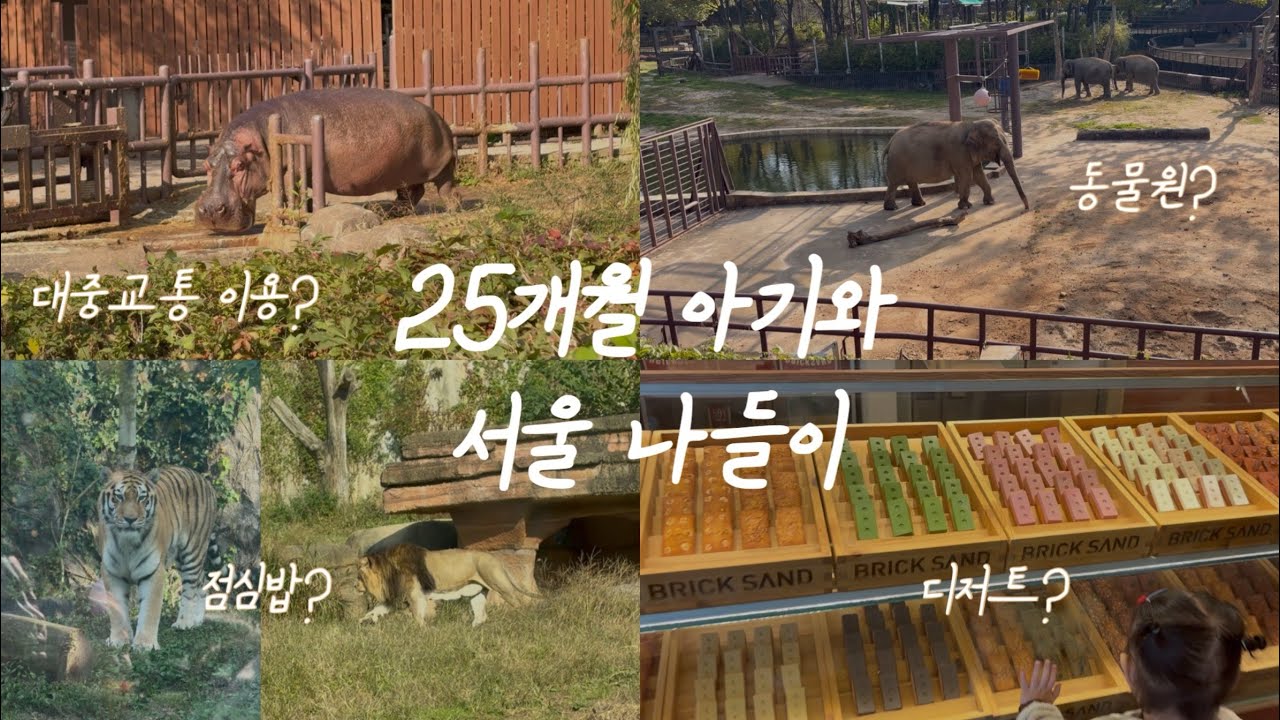 서울 대공원ㅣ25개월 아가랑 갈만한 곳ㅣ서울역ㅣ브릭샌드ㅣ토끼정ㅣ동물원ㅣ아기랑 대중교통타기ㅣ서울 나들이