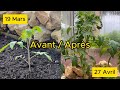 Boostez vos rcoltes en serre avec ces techniques de permaculture  guide complet jardistream