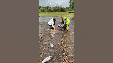 Fishing 