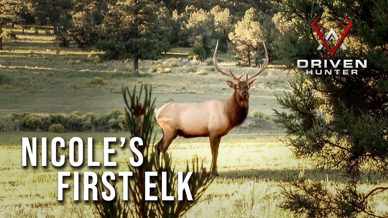 "I SMOKED HIM!" Nicole's First Elk Throwback Hunts YouTube