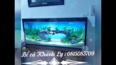 Ảnh Bể Cá Khánh Ly
