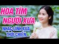 Hoa Tím Người Xưa, Người Đi Ngoài Phố - Liên Khúc Rumba Nhạc Lính Tiền Chiến Xưa 1975 Để Đời