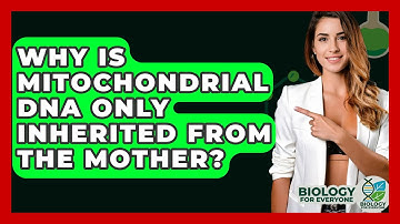 Why Is Mitochondrial DNA Only Inherited From The Mother? - Biology For Everyone
