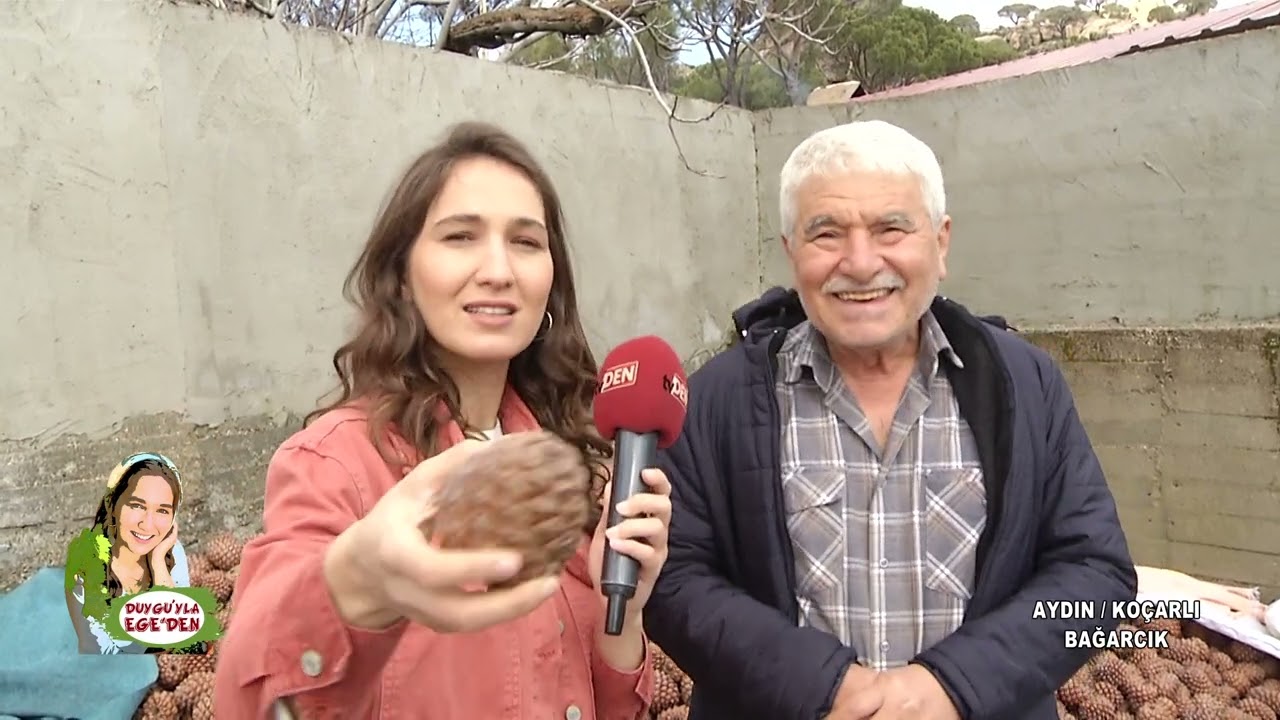 AYDIN - KOÇARLI - BAĞARCIK