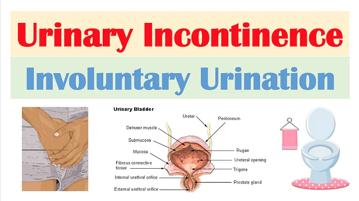 Urinary Incontinence (Stress, Urge, Overflow & Functional) | Causes, Symptoms, Diagnosis, Treatment - DayDayNews
