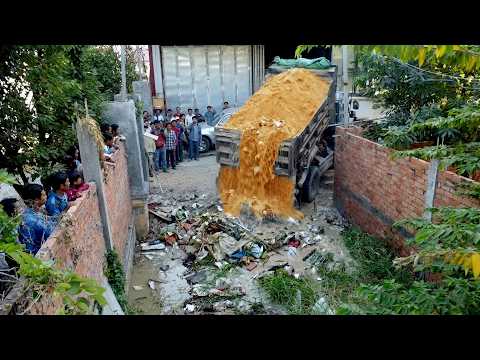 OMG Bulldozer and Damp Trucks Start to Cleaning Up The Neighborhood: From Trash To Treasure!