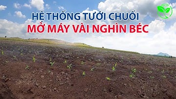 Hệ Thống Tưới Chuôi Mỗi Lần Vài Nghin Béc | VNPLANT