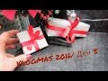 За Коцето,хейтърите/ VLOGMAS 2016