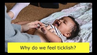 Why do we feel ticklish?