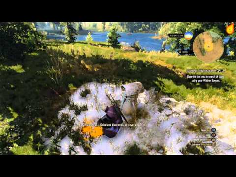 Video: The Witcher 3 - The Apiarian Phantom: Wie Man Den Wild Hunt Hound Tötet